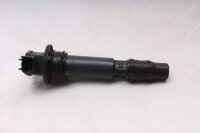 Tændspole, individuel tændspole,...