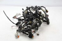 Cablaggio principale, connettori elettrici Moto Guzzi Stelvio 1200 8V NTX LZ 11-17