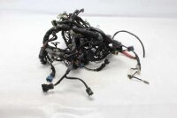 Cablaggio principale, connettori elettrici Moto Guzzi Stelvio 1200 8V NTX LZ 11-17