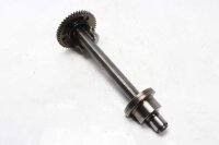 Balansaxel, vevaxel, motoraxel Triumph Tiger 1050 115NG...