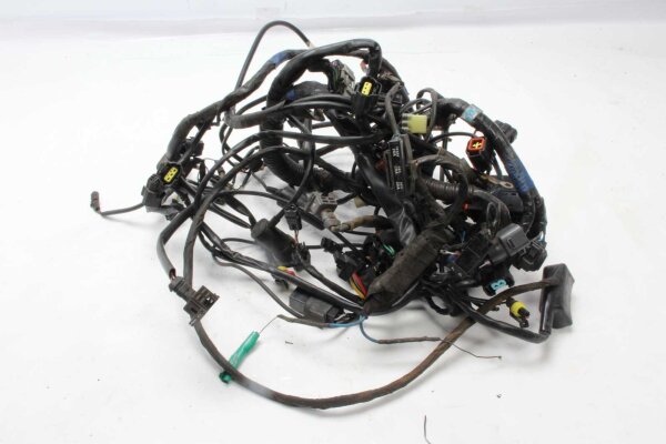 Cablaggio principale, serie di cavi, fusibile, relè Triumph Tiger 1050 115NG 07-13