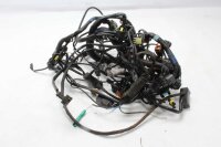 Huvudkablage, kabelsträng, säkring, relä...