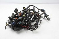 Cablaggio principale, serie di cavi, fusibile, relè Triumph Tiger 1050 115NG 07-13