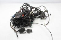 Cablaggio principale, serie di cavi, fusibile, relè Triumph Tiger 1050 115NG 07-13