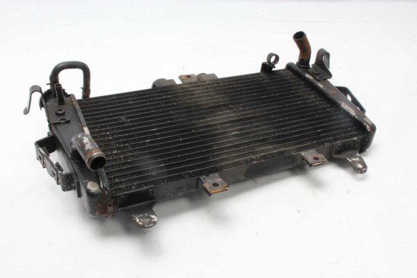 Enfriador de agua, radiador de refrigeración, radiador, refrigeración del motor Triumph Tiger 1050 115NG 07-13