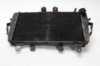 Enfriador de agua, radiador de refrigeración, radiador, refrigeración del motor Triumph Tiger 1050 115NG 07-13