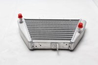Oljekylare, kylare, motorkylning, hög prestanda Aprilia Tuono 1100 V4 Factory 20-20