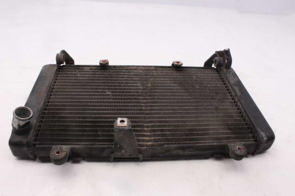 Radiatore, radiatore dellacqua, radiatore del liquido di raffreddamento, raffreddamento del motore Honda CBF 1000 F SC58 06-11