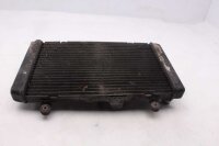 Radiatore, radiatore dellacqua, radiatore del liquido di raffreddamento, raffreddamento del motore Honda CBF 1000 F SC58 06-11