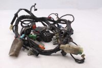 Kabelboom, hoofdkabelboom, elektrisch systeem Honda CBF 1000 F SC58 06-11