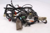 Kabelboom, hoofdkabelboom, elektrisch systeem Honda CBF 1000 F SC58 06-11