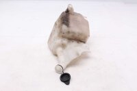 Serbatoio di espansione del liquido di raffreddamento,...