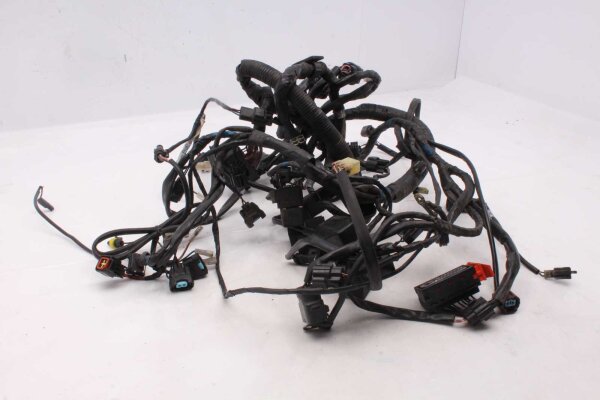 Johtosarja, pääkaapeli, johtosarja, sähköjärjestelmä Triumph Sprint ST1050 215NA 05-10