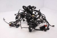 Kabelhärva, huvudkabel, ledningssats, elsystem...