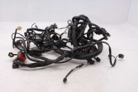 Kabelhärva, huvudkabel, ledningssats, elsystem...