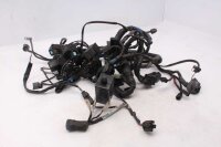 Johtosarja, pääkaapeli, johtosarja, sähköjärjestelmä Triumph Sprint ST1050 215NA 05-10