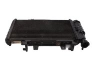 Enfriador de agua, radiador, refrigeración del...