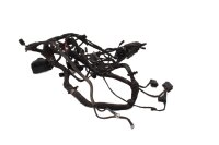 Faisceau de câbles principal, faisceau de câbles dallumage, système électrique BMW F 700 GS 0B01 E8GS 12-16