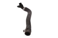 Kampikammion tuuletusletku BMW F 700 GS 0B01 E8GS 12-16