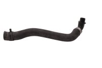 Kampikammion tuuletusletku BMW F 700 GS 0B01 E8GS 12-16