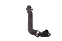 Kampikammion tuuletusletku BMW F 700 GS 0B01 E8GS 12-16