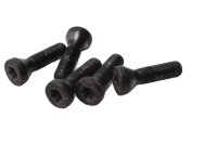 Wielboutenset, verzonken Torx-kop, velgbevestiging BMW R...