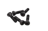 Wielboutenset, verzonken Torx-kop, velgbevestiging BMW R 900 RT R12RT 0330 K26 10-13