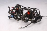 Kabelbaum Hauptkabelstrang Elektrik Sicherungskasten...