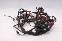 Kabelboom, hoofdkabelboom, elektrisch systeem, zekeringkast Honda NC 700 S RC61 12-13