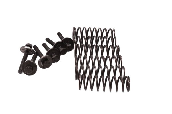 Kopplingsfjädrar, skruvar, kopplingspaket BMW F 700 GS 0B01 E8GS 12-16