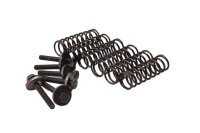 Clutch springs, screws, clutch pack BMW F 700 GS 0B01...