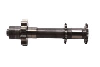 Albero motore, pompa dellolio, catena di distribuzione,...