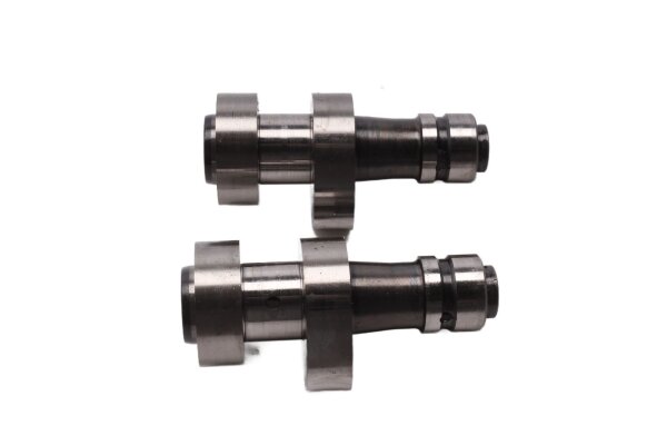 Coppia di alberi a camme, alberi di controllo, sinistro e destro, aspirazione BMW R 1100 GS 259 0409 93-99