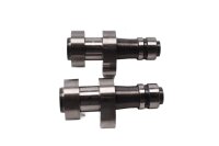 Coppia di alberi a camme, alberi di controllo, sinistro e destro, aspirazione BMW R 1100 GS 259 0409 93-99