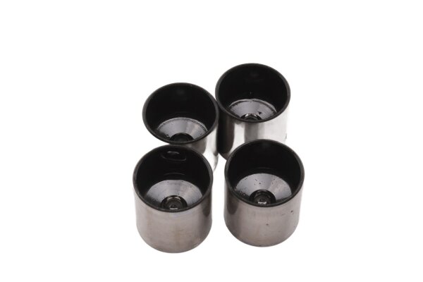 Taqué hidráulico, taqué de válvula, izquierda, derecha, culata BMW R 1100 GS 259 0409 93-99