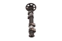Camshaft, control shaft, valve train, engine drive BMW F 700 GS 0B01 E8GS 12-16