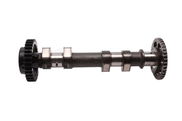Camshaft, control shaft, valve train drive 256643 BMW F 700 GS 0B01 E8GS 12-16