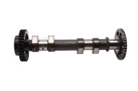 Camshaft, control shaft, valve train drive 256643 BMW F...