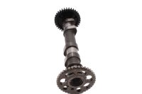 Camshaft, control shaft, valve train drive 256643 BMW F...