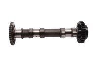 Camshaft, control shaft, valve train drive 256643 BMW F 700 GS 0B01 E8GS 12-16