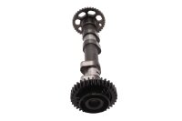 Camshaft, control shaft, valve train drive 256643 BMW F 700 GS 0B01 E8GS 12-16