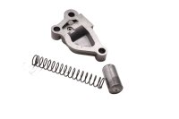Chain tensioner, timing chain, oil pump, tensioner spring BMW R 1100 GS 259 0409 93-99