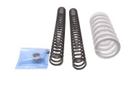 Kit di conversione progressivo delle sospensioni a molla ribassata KTM SMC 690 RA 24-24