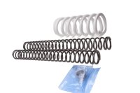 Kit di conversione progressivo delle sospensioni a molla ribassata KTM SMC 690 RA 24-24