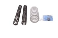 Sænkningsfjedre, affjedring, fjedersæt KTM SMC 690 RA 24-24