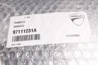 Voorruit, transparante voorruit, vervanging Ducati Multistrada 1200 V4 S 21-21