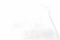 Bauletto SHAD, bauletto, coperchio posteriore, serratura non inclusi Unbekannt Konvolut