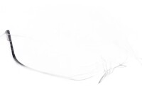 Parabrisas, pantalla tintada, protección frontal, fijación de carenado Kawasaki Z 900 B 19-19