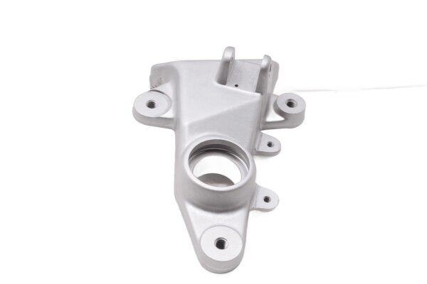 Fußrastenhalter Trägerplatte vorne links Ducati Multistrada 1000 DS A1 03-06