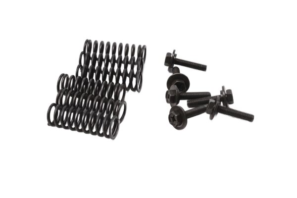 Clutch springs, screw set, pressure plate Yamaha FZS 1000 Fazer RN06 01-05